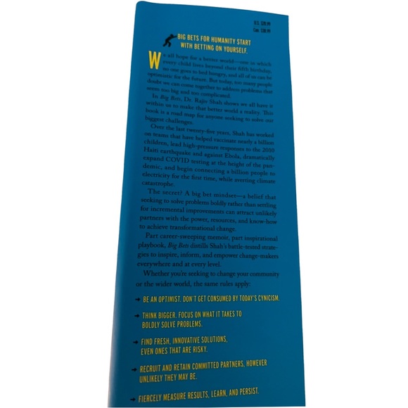 Big Bets: How Large-Scale Change Really Happens - Picture 3 of 7